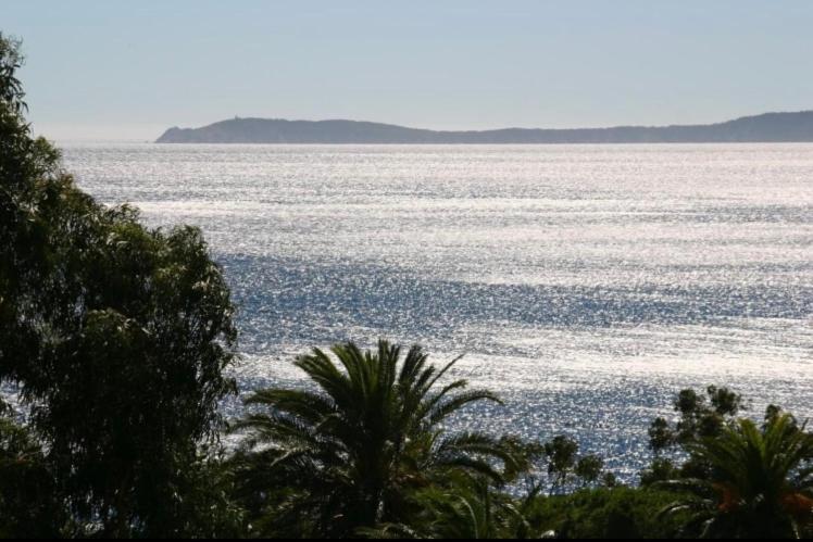 Le Paradou * Rayol-Canadel-sur-Mer
